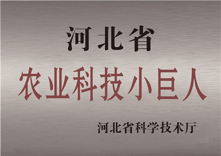 华亿体育被评为河北省农业科技小巨人